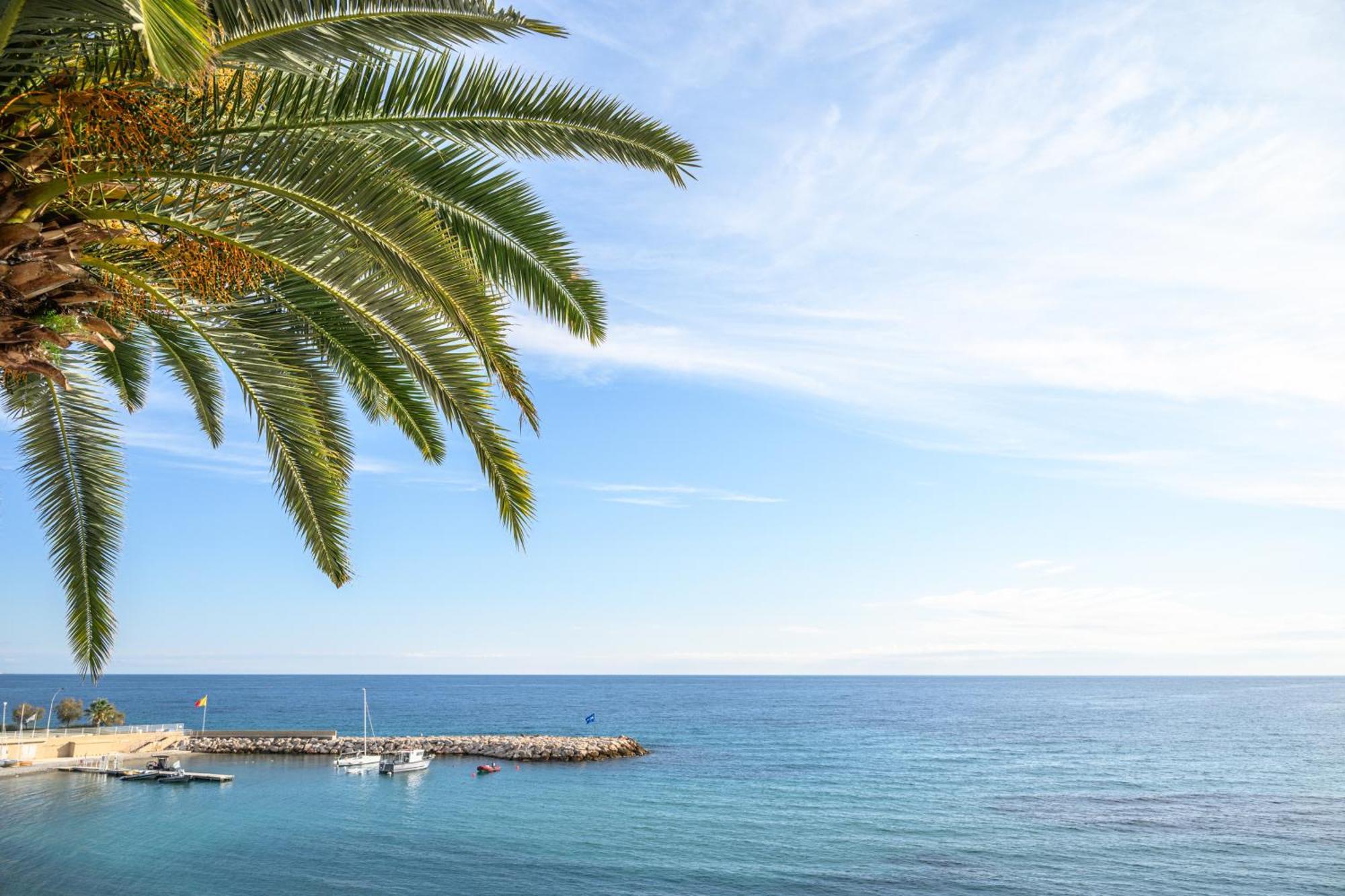Le Coq Ligures - Air Conditioning - Seafront - Wifi Rocabruna Exterior foto
